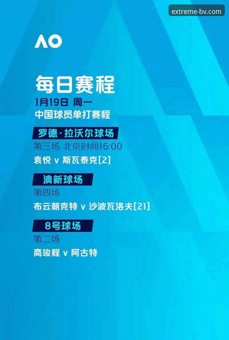 宝威体育平台极致竞技体验全面解析——BV宝威体育官网下载深度分析